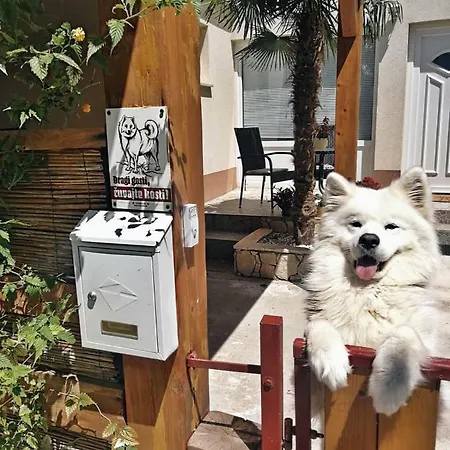 Apartmán Jasmina Senj  Exteriér fotografie