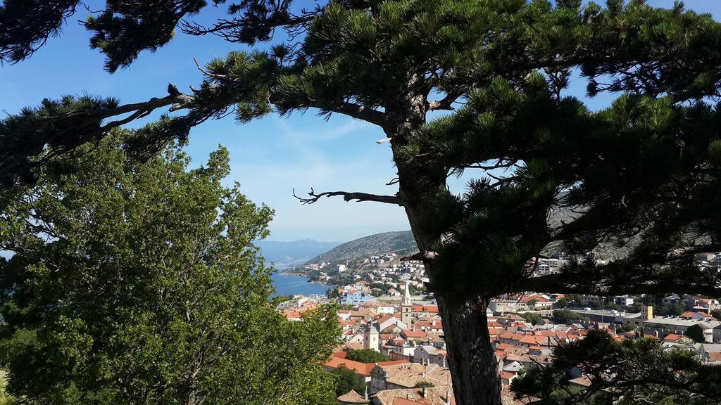 Apartmán Jasmina Senj (Lika-Senj)